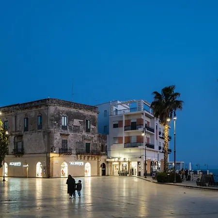 Sofi' Center שאקה