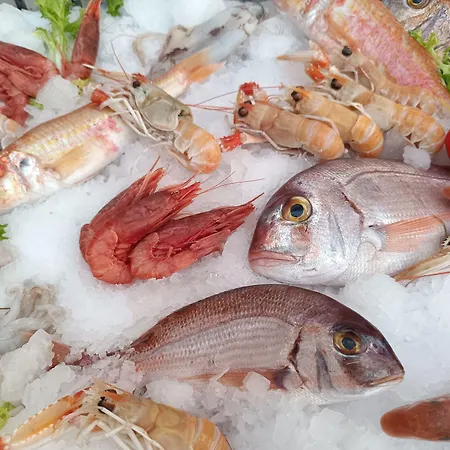 Sofi' Center Nocleg ze śniadaniem 4*